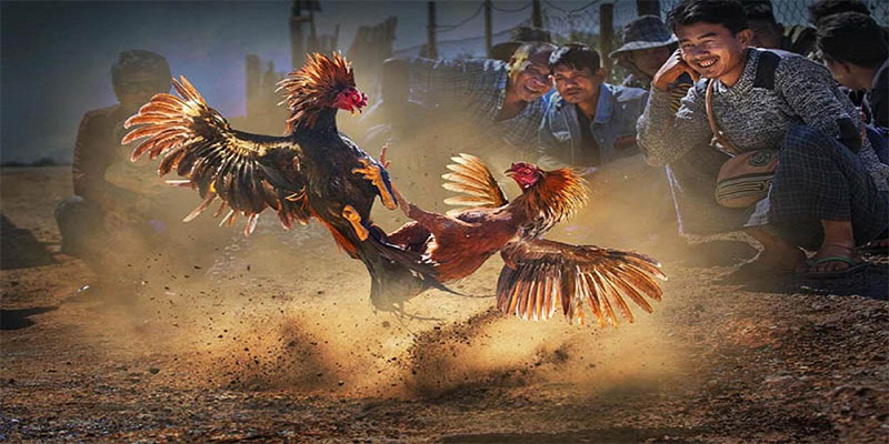 winvn 777 đăng nhập roulette số 1