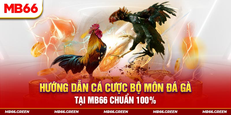 winvn 777 xổ số bình định