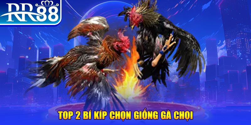 winvn 777 đăng nhập roulette dễ thắng
