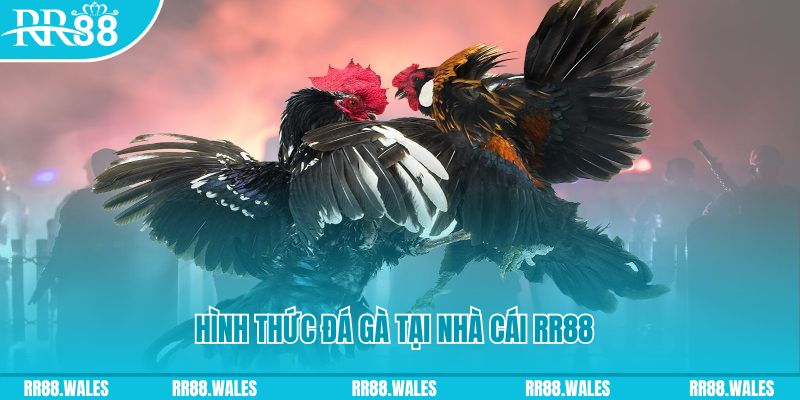 winvn 777 xin 1 slot là gì