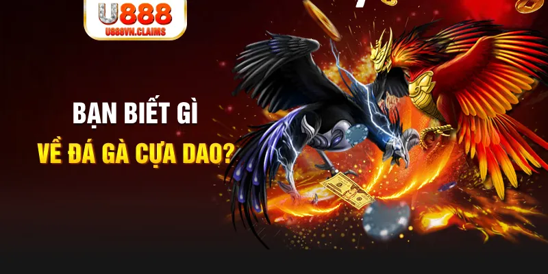 winvn 777 xổ số kiến thiết