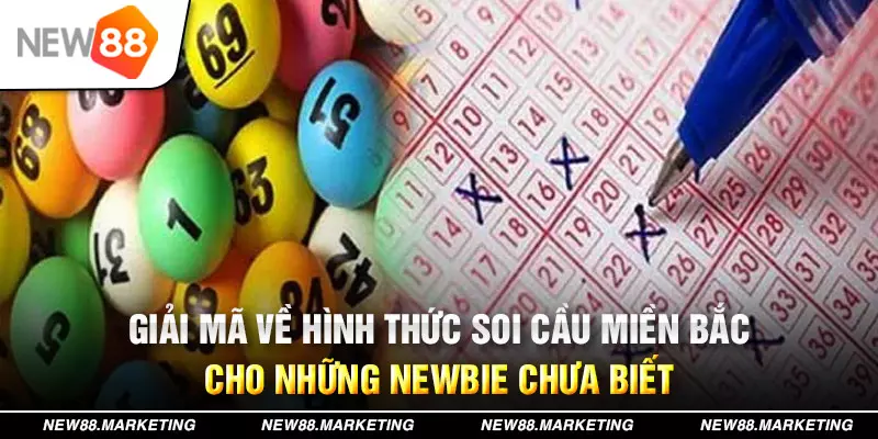 winvn 777 đăng nhập mậu binh live