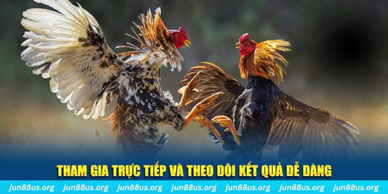 winvn 777 đá gà trực tiếp bình luận viên