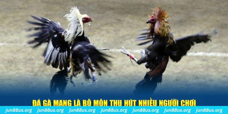 winvn 777 xổ số cà mau