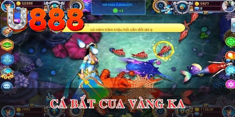 winvn 777 đăng nhập phỏm uy tín