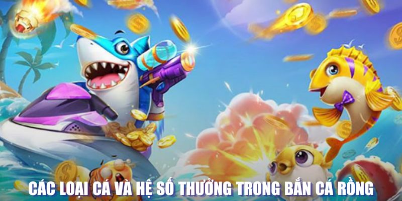 winvn 777 loi game dot kich ket noi may chu that bai