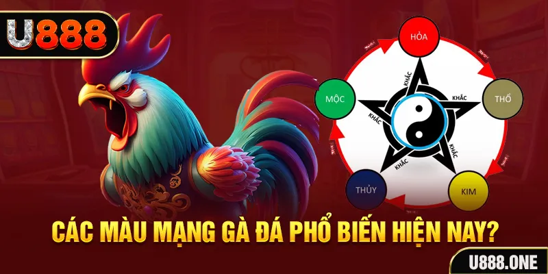 winvn 777 đăng nhập mậu binh