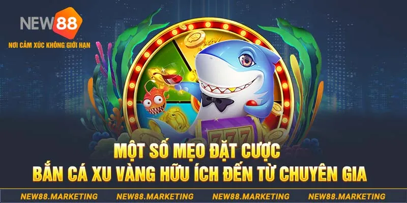 winvn 777 what is a casino deposit bonus