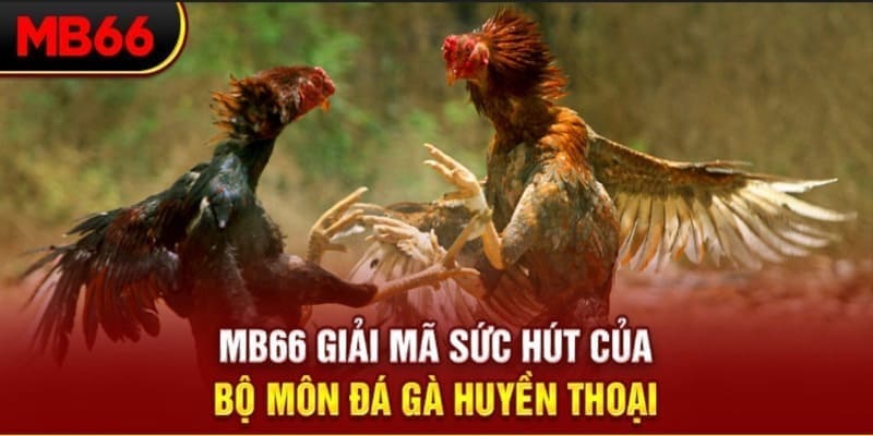 winvn 777 Phi Đội Ưu Tú