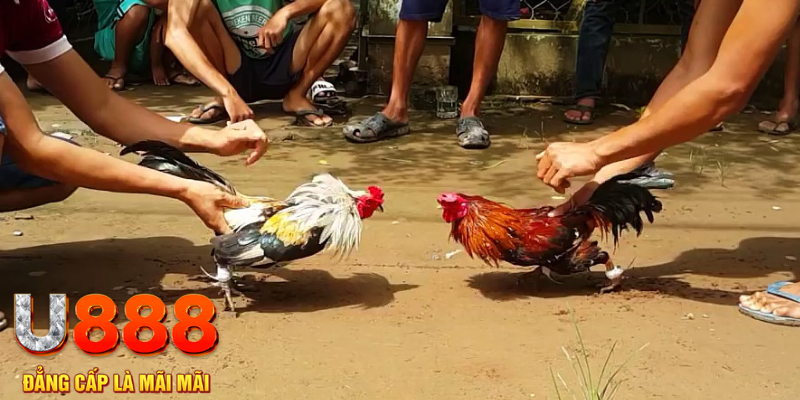 winvn 777 đăng nhập mậu binh rút tiền nhanh