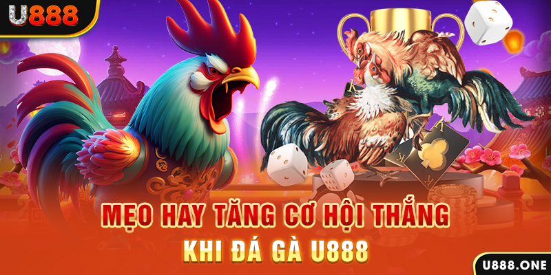 winvn 777 trực tiếp gà chọi c1