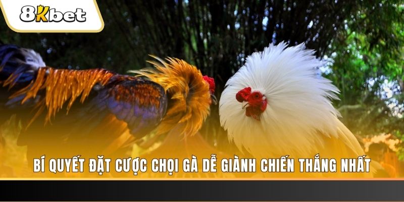 winvn 777 Tài Xỉu 2