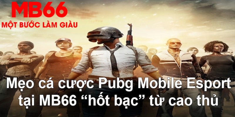 winvn 777 gà chọi mộc hóa