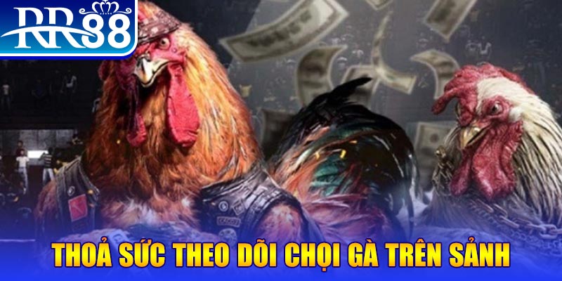 winvn 777 đá gà 88.com