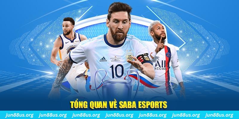 winvn 777 gà chọi c1 tv trực tiếp hôm nay